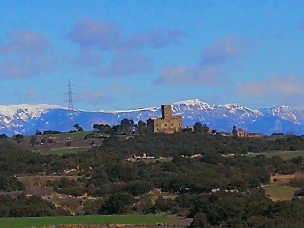 Bed and Breakfast La Casa Dels Ocells (Adults Only) Granollers de Florejacs Exterior foto